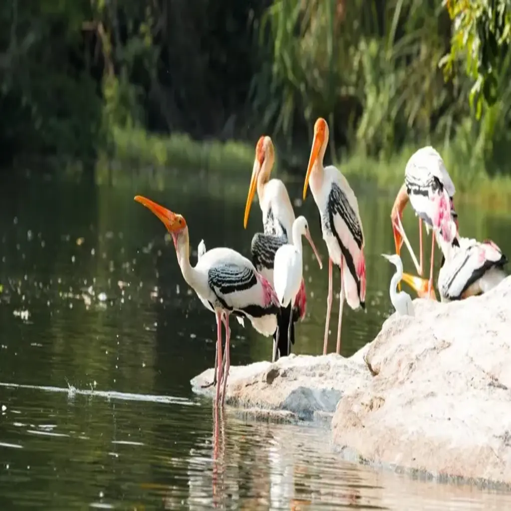 Vijay Sagar Lake